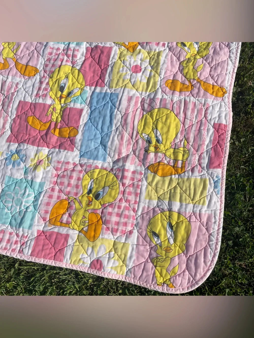 Vintage 1997 Looney Tunes Tweety Bird Quilted Pastel Baby Crib Blanket Y2K